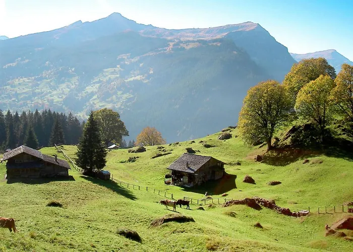 Apartment Chalet Beausite